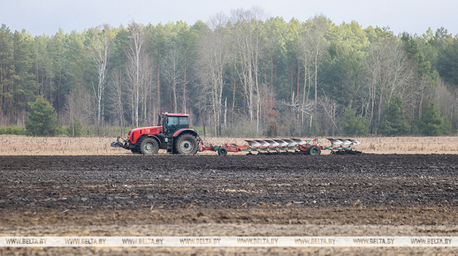 Spring rapeseed planting gets underway in Belarus
