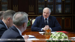 Lukashenko criticizes slow forest restoration in Belarus