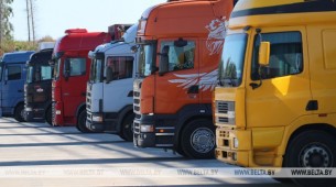 Гродненская таможня готова оформлять больше грузовиков при условии их ритмичного пропуска литовцами